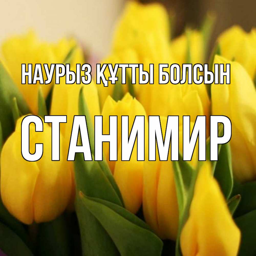 Күн сайын ашық хат с именем, Станимир Наурыз құтты болсын цветы Онлайн тегін жүктеп алу тілектері бар керемет карта 
