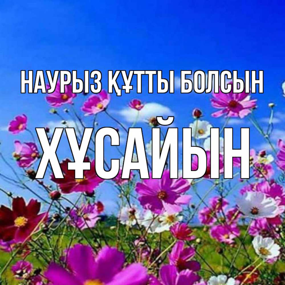 Күн сайын ашық хат с именем, ХҰСАЙЫН Наурыз құтты болсын цветы Онлайн тегін жүктеп алу тілектері бар керемет карта 