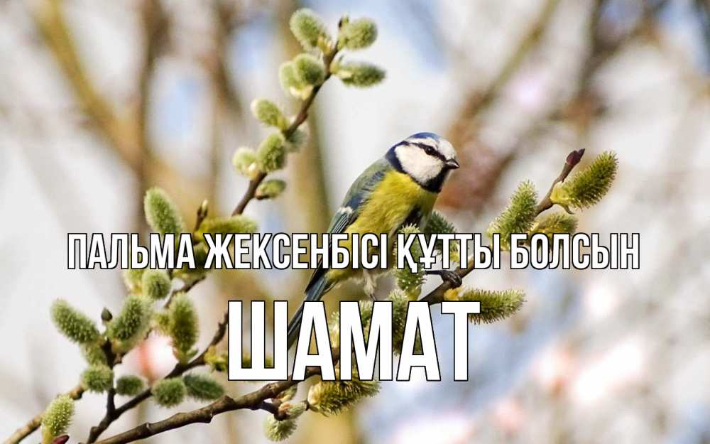 Күн сайын ашық хат с именем, ШАМАТ Пальма жексенбісі құтты болсын верба Онлайн тегін жүктеп алу тілектері бар керемет карта 