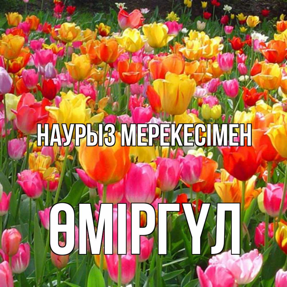 Күн сайын ашық хат с именем, ӨМІРГҮЛ Наурыз мерекесімен праздник весны наурыз 4 Онлайн тегін жүктеп алу тілектері бар керемет карта 