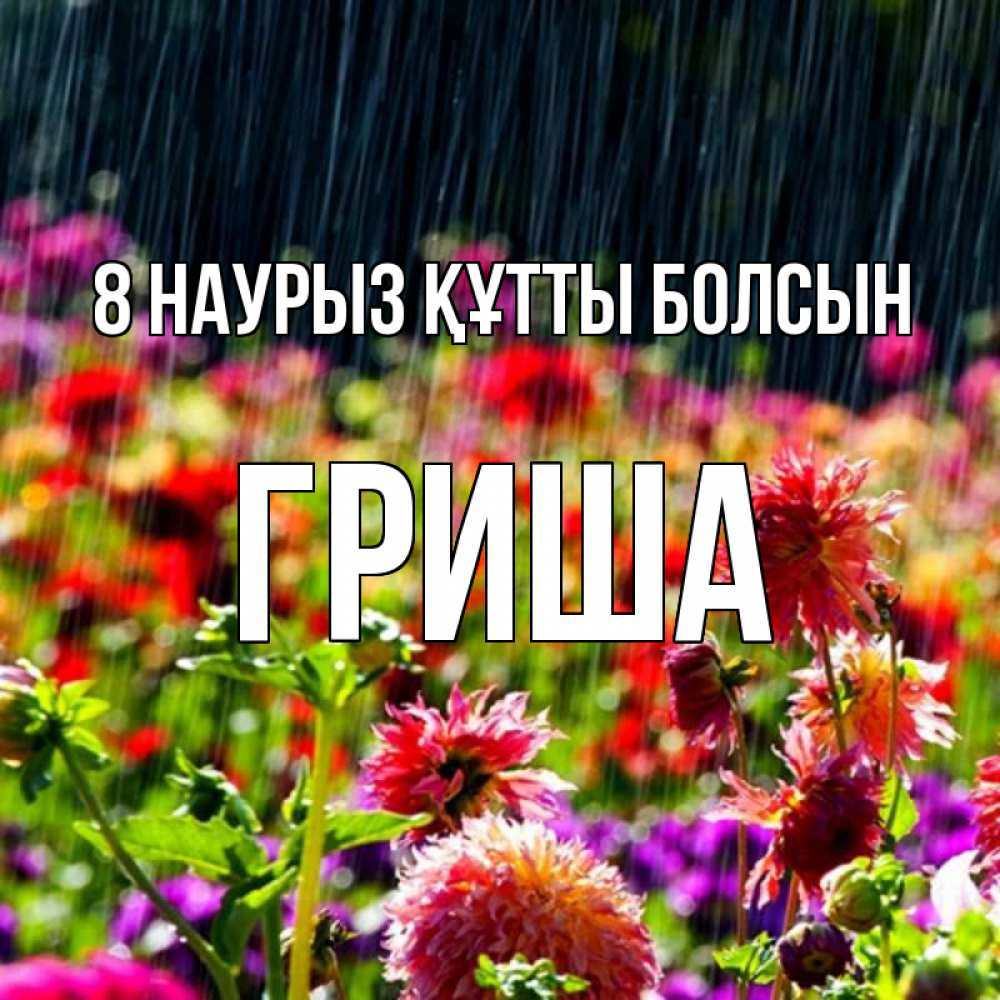 Күн сайын ашық хат с именем, Гриша 8 наурыз құтты болсын цветы под дождиком к международному женскому дню Онлайн тегін жүктеп алу тілектері бар керемет карта 