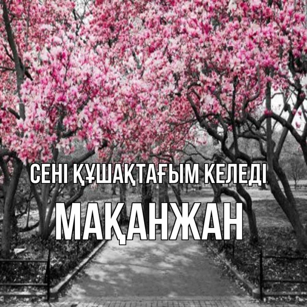 Күн сайын ашық хат с именем, Мақанжан сені құшақтағым келеді обработанное фото Онлайн тегін жүктеп алу тілектері бар керемет карта 