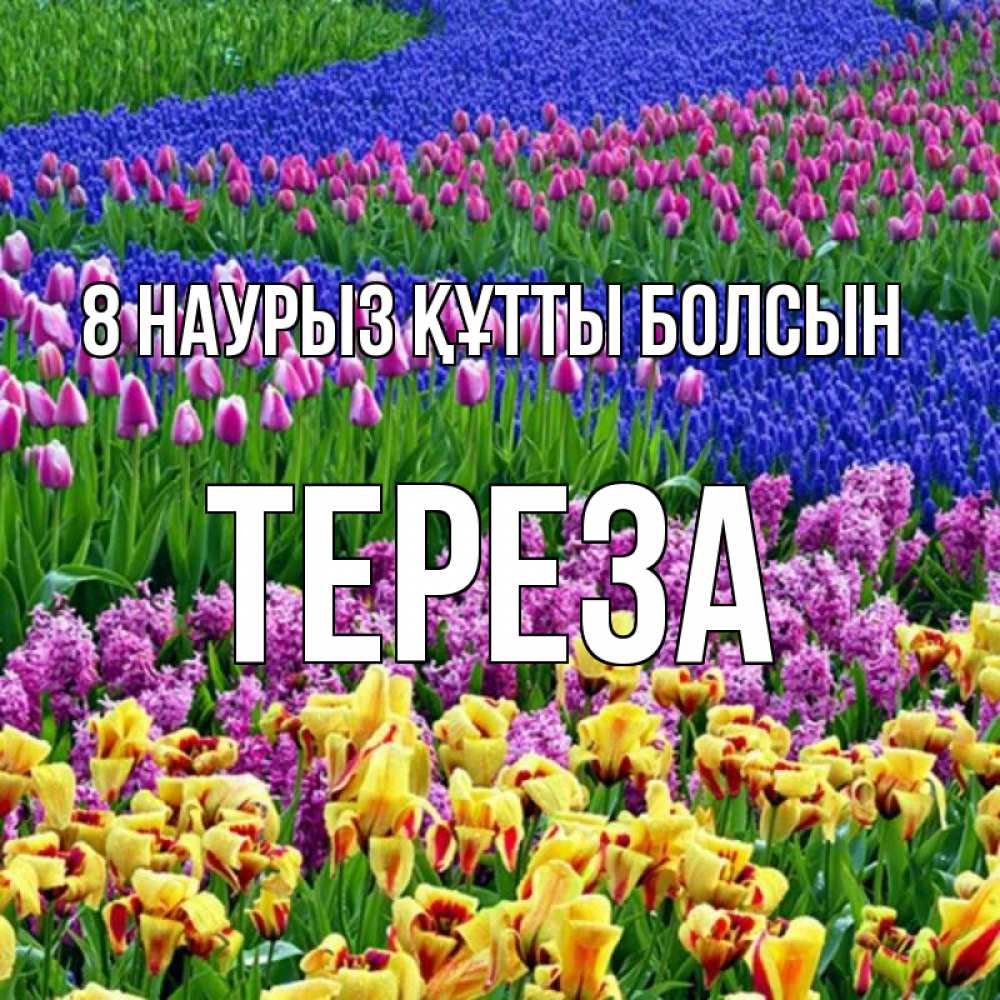 Күн сайын ашық хат с именем, Тереза 8 наурыз құтты болсын цветы Онлайн тегін жүктеп алу тілектері бар керемет карта 