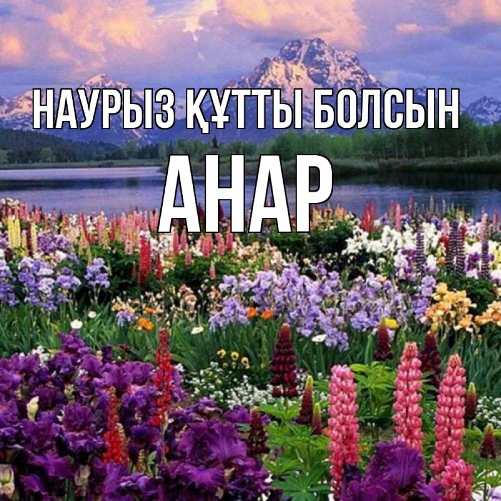 Күн сайын ашық хат с именем, АНАР Наурыз құтты болсын наурыз Онлайн тегін жүктеп алу тілектері бар керемет карта 