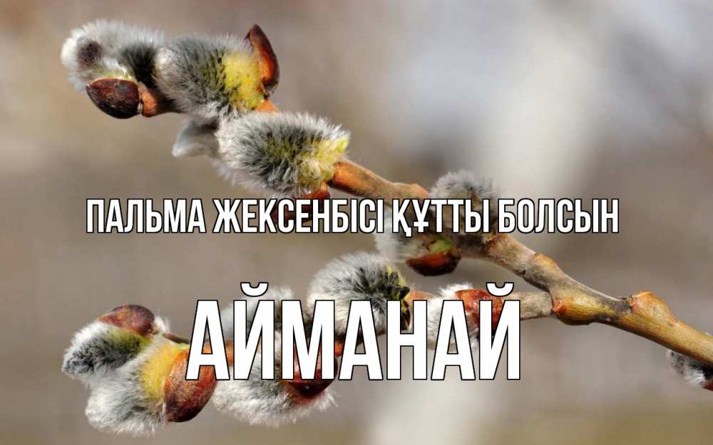Күн сайын ашық хат с именем, Айманай Пальма жексенбісі құтты болсын Верба Онлайн тегін жүктеп алу тілектері бар керемет карта 