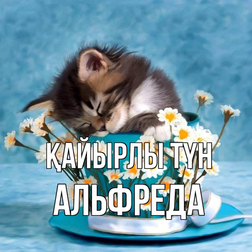Күн сайын ашық хат с именем, Альфреда Қайырлы түн котенок спит в кружке с блюдцем Онлайн тегін жүктеп алу тілектері бар керемет карта 