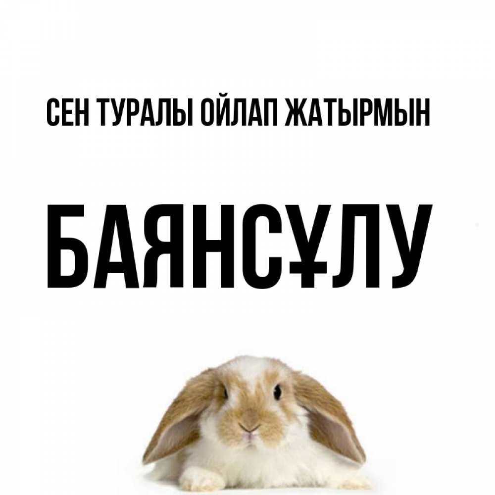 Күн сайын ашық хат с именем, БАЯНСҰЛУ Сен туралы ойлап жатырмын подписать своими руками онлайн Онлайн тегін жүктеп алу тілектері бар керемет карта 