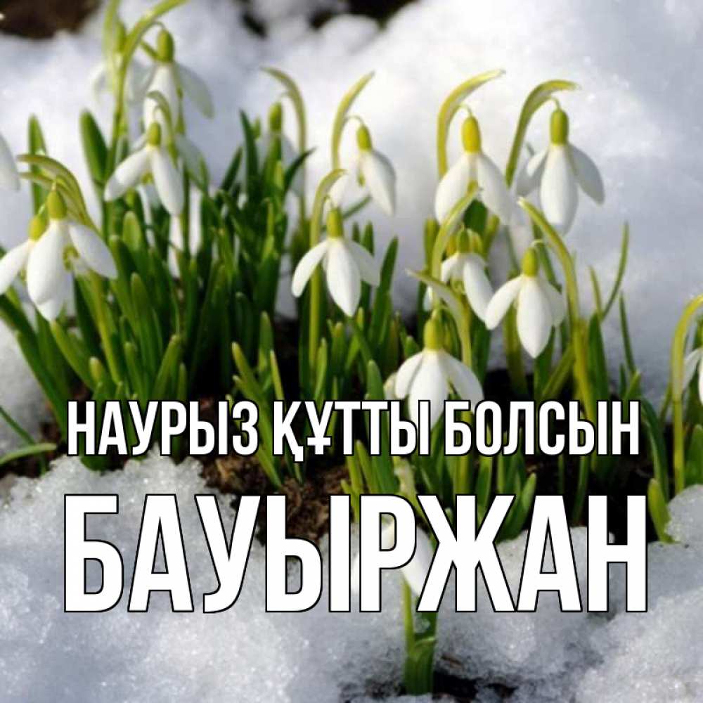 Күн сайын ашық хат с именем, Бауыржан Наурыз құтты болсын цветы весенние Онлайн тегін жүктеп алу тілектері бар керемет карта 