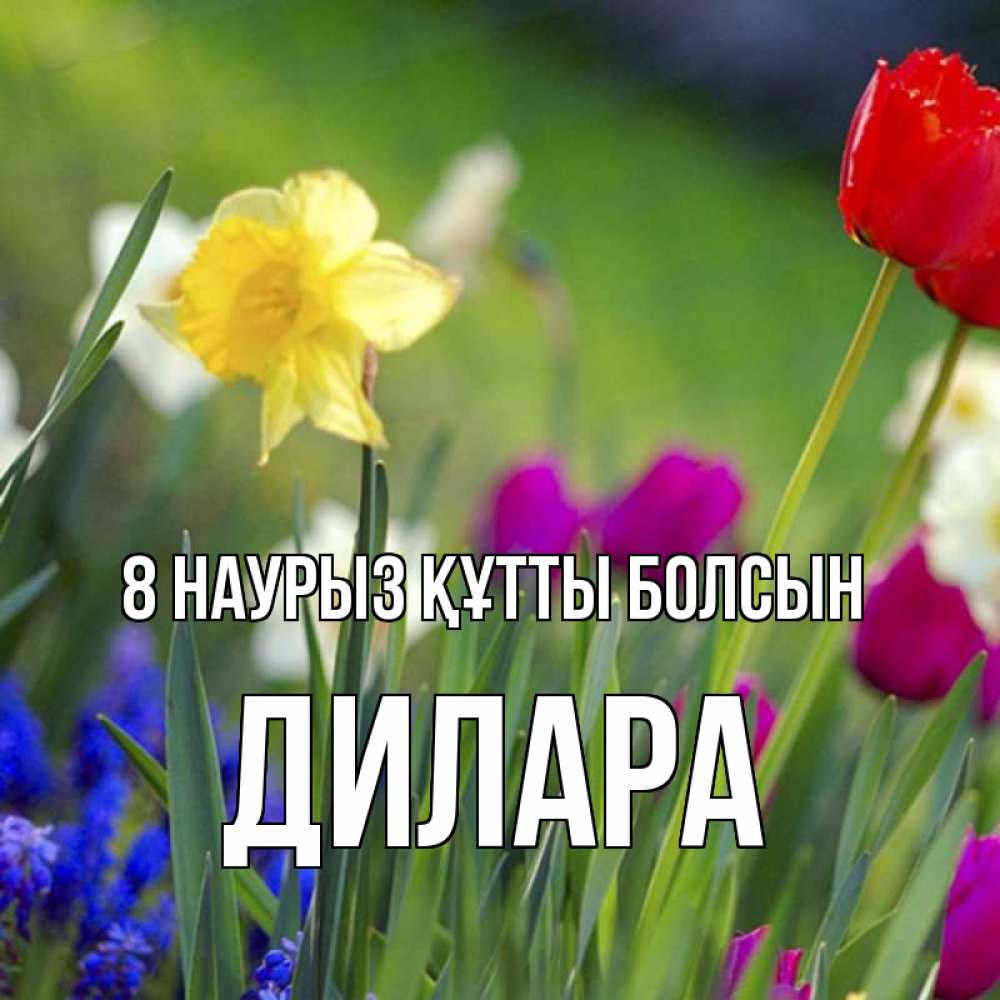 Күн сайын ашық хат с именем, Дилара 8 наурыз құтты болсын международный женский день 3 Онлайн тегін жүктеп алу тілектері бар керемет карта 
