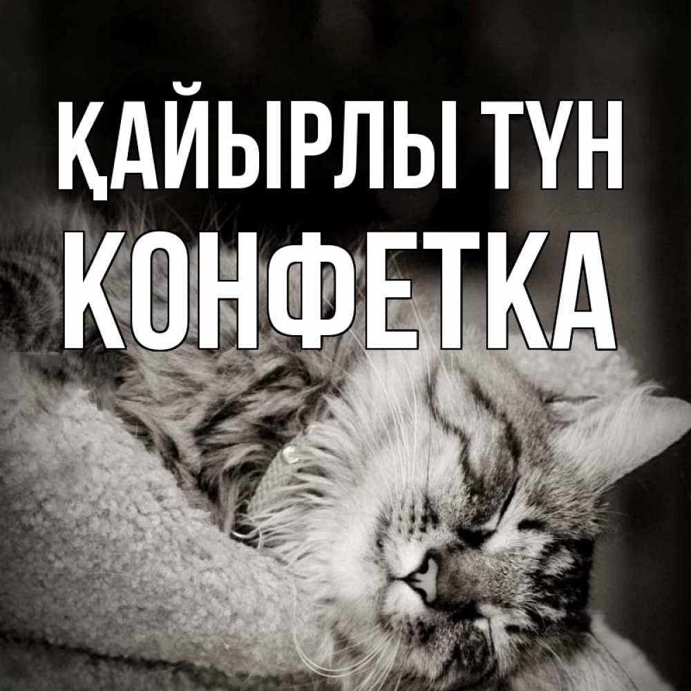 Күн сайын ашық хат с именем, Конфетка Қайырлы түн котярик пушистый Онлайн тегін жүктеп алу тілектері бар керемет карта 