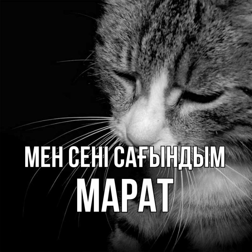 Күн сайын ашық хат с именем, МАРАТ Мен сені сағындым мне скучно Онлайн тегін жүктеп алу тілектері бар керемет карта 
