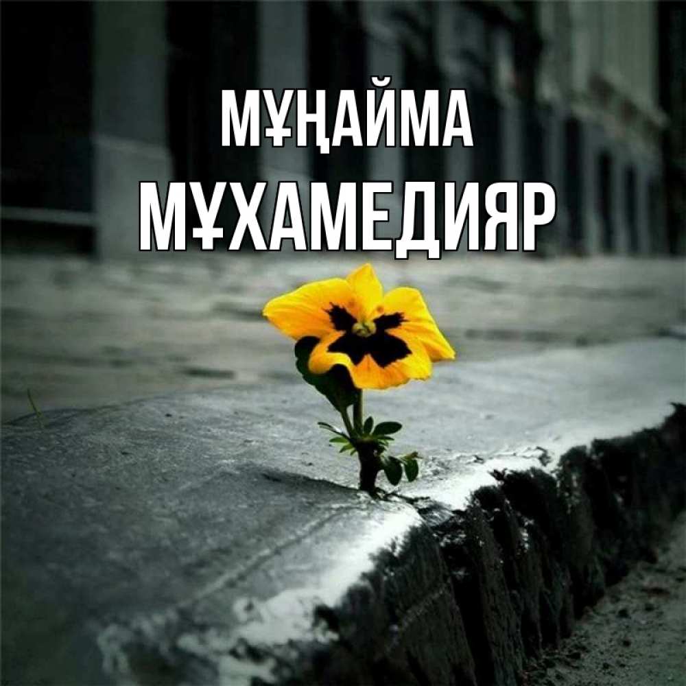 Күн сайын ашық хат с именем, МҰХАМЕДИЯР Мұңайма не сдавайся Онлайн тегін жүктеп алу тілектері бар керемет карта 