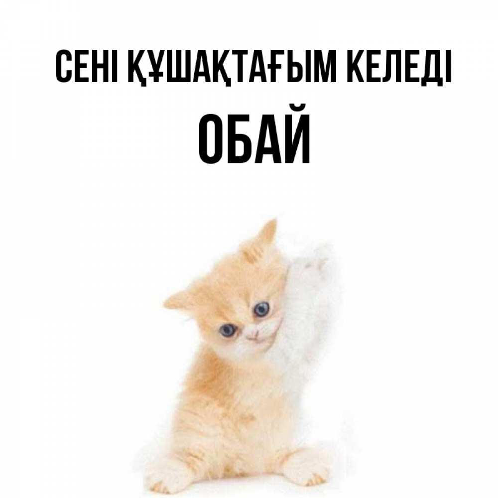Күн сайын ашық хат с именем, ОБАЙ сені құшақтағым келеді я хочу очень скорее обнимаешек Онлайн тегін жүктеп алу тілектері бар керемет карта 