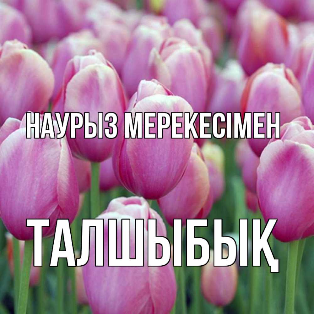 Күн сайын ашық хат с именем, ТАЛШЫБЫҚ Наурыз мерекесімен праздник весны наурыз 69 Онлайн тегін жүктеп алу тілектері бар керемет карта 