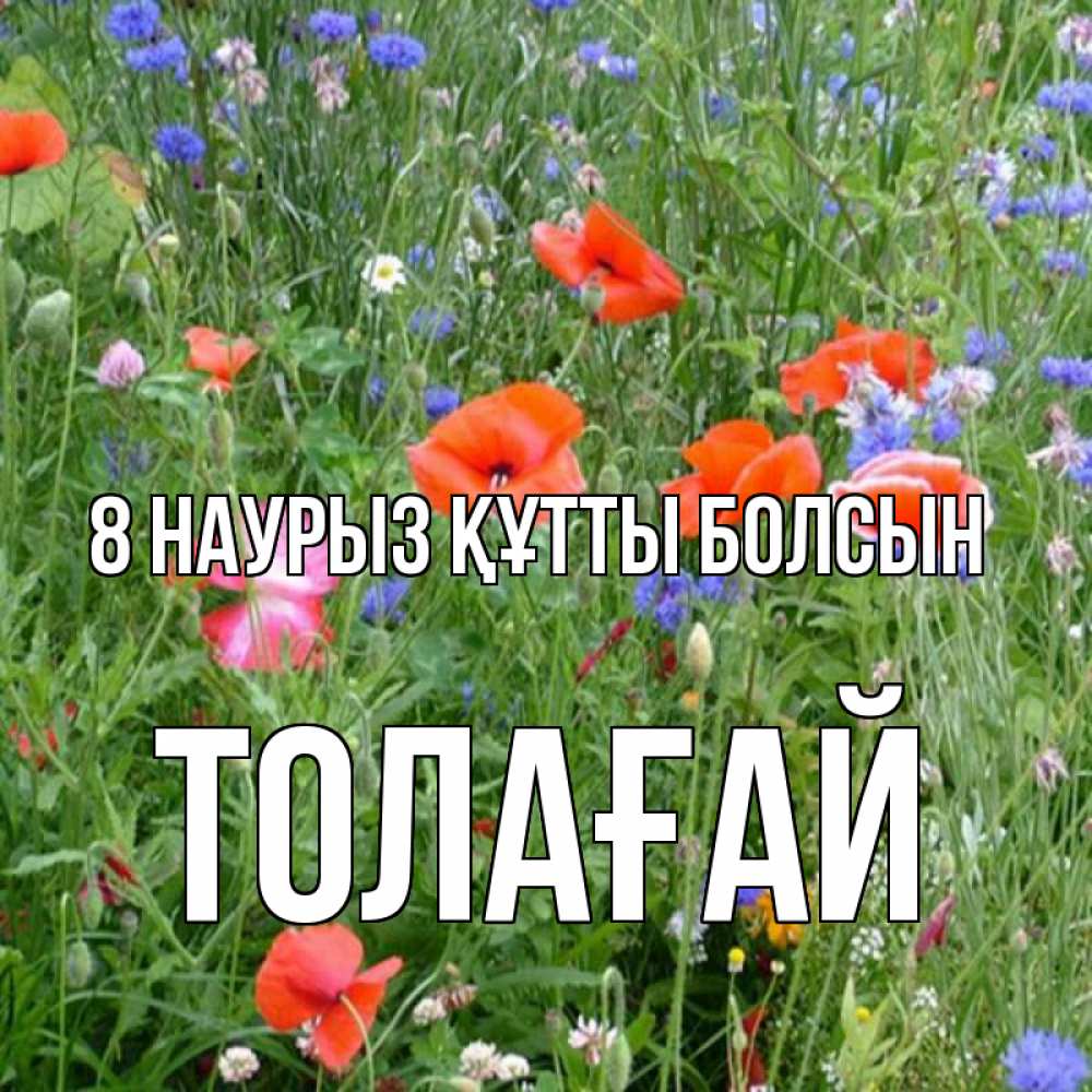 Күн сайын ашық хат с именем, ТОЛАҒАЙ 8 наурыз құтты болсын международный женский день 4 Онлайн тегін жүктеп алу тілектері бар керемет карта 