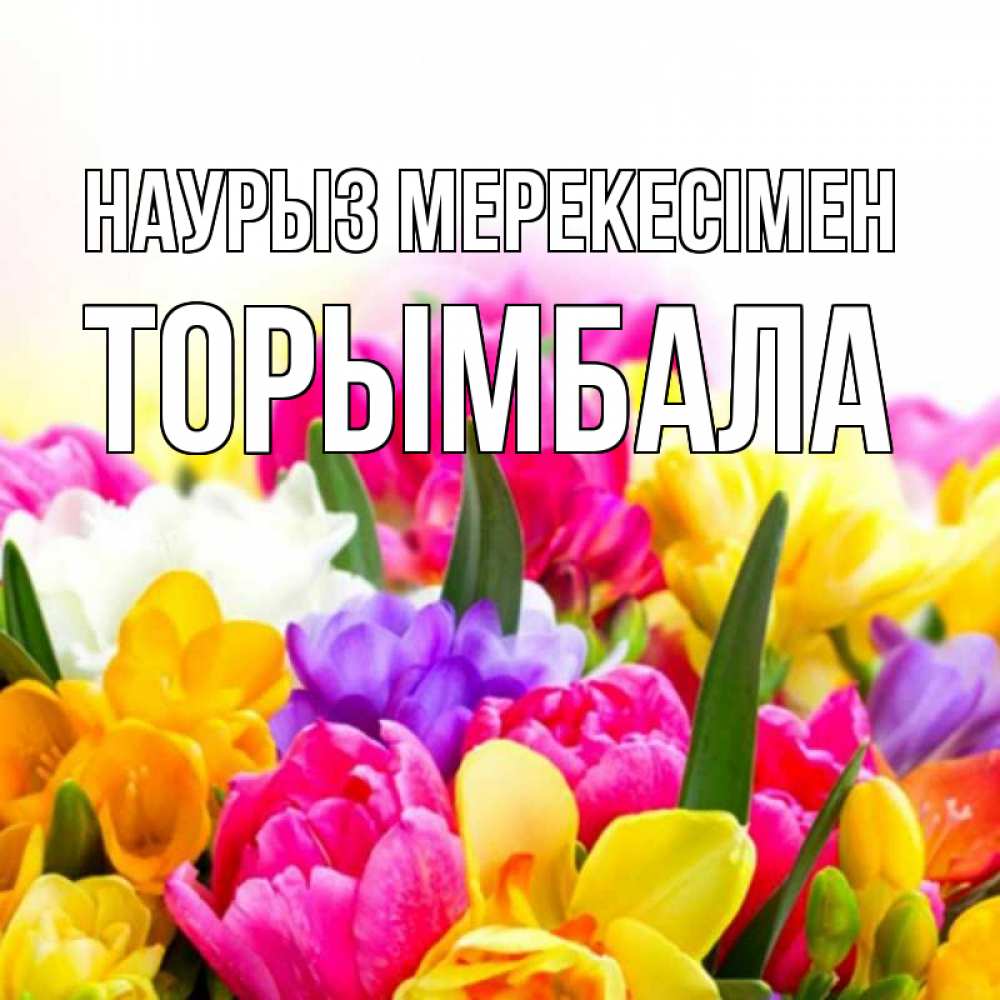 Күн сайын ашық хат с именем, ТОРЫМБАЛА Наурыз мерекесімен тюльпаны Онлайн тегін жүктеп алу тілектері бар керемет карта 