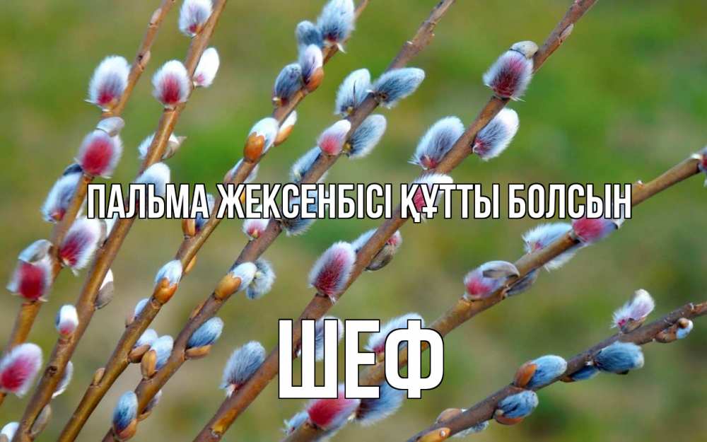 Күн сайын ашық хат с именем, Шеф Пальма жексенбісі құтты болсын верба Онлайн тегін жүктеп алу тілектері бар керемет карта 