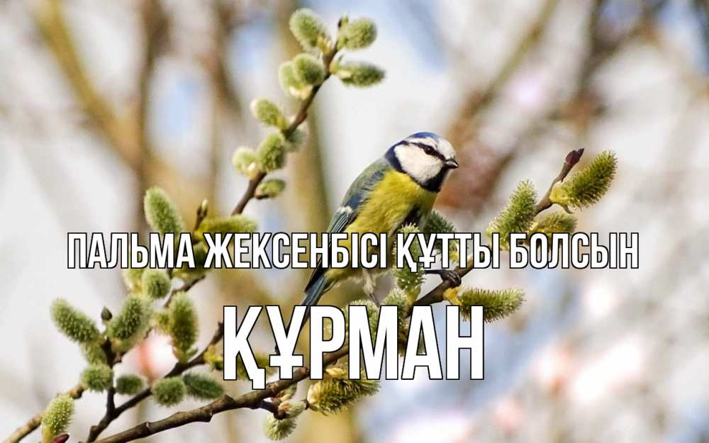 Күн сайын ашық хат с именем, ҚҰРМАН Пальма жексенбісі құтты болсын верба Онлайн тегін жүктеп алу тілектері бар керемет карта 