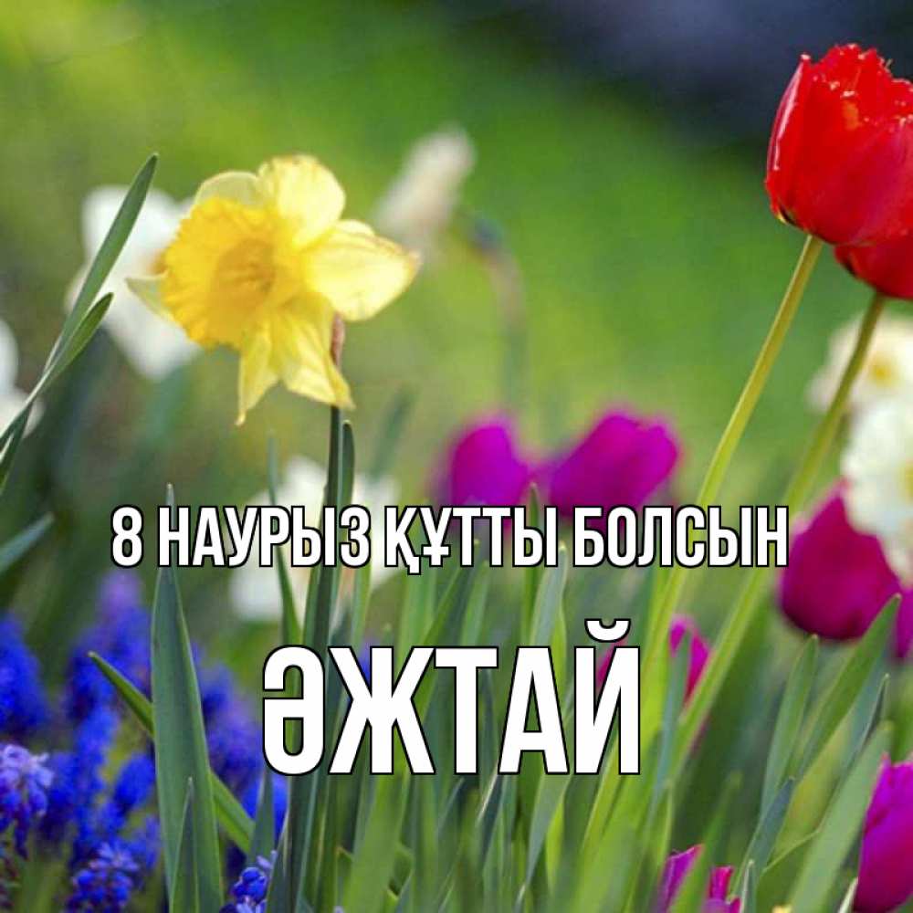 Күн сайын ашық хат с именем, Әжтай 8 наурыз құтты болсын международный женский день 3 Онлайн тегін жүктеп алу тілектері бар керемет карта 