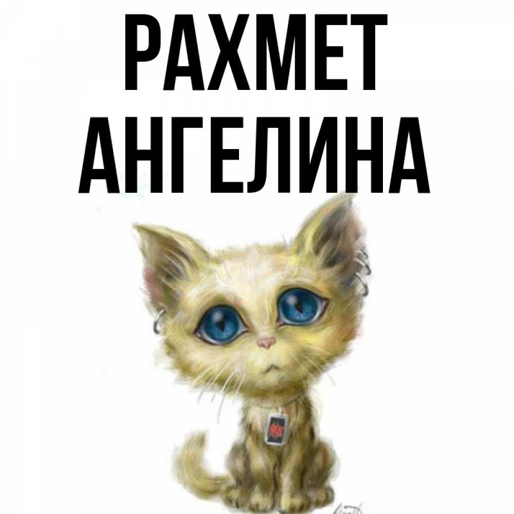 Күн сайын ашық хат с именем, Ангелина рахмет рисованный кот благодарит вас Онлайн тегін жүктеп алу тілектері бар керемет карта 