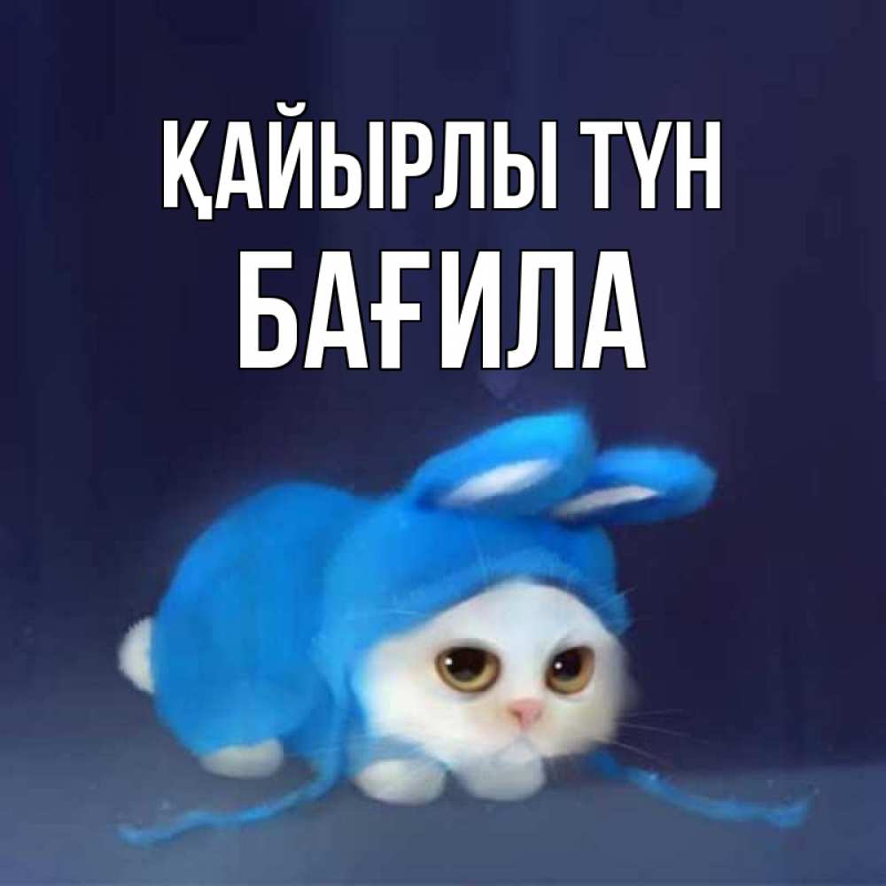 Күн сайын ашық хат с именем, БАҒИЛА Қайырлы түн кот в голубом костюме кролика с ушками Онлайн тегін жүктеп алу тілектері бар керемет карта 