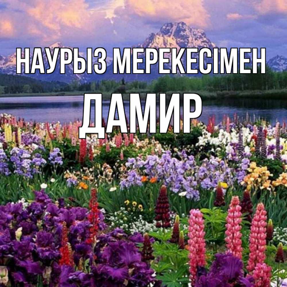 Күн сайын ашық хат с именем, Дамир Наурыз мерекесімен праздник весны наурыз Онлайн тегін жүктеп алу тілектері бар керемет карта 