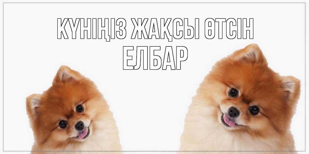 Күн сайын ашық хат с именем, Елбар Күніңіз жақсы өтсін собачки желают прекрасного дня Онлайн тегін жүктеп алу тілектері бар керемет карта 