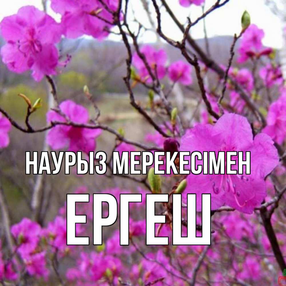 Күн сайын ашық хат с именем, Ергеш Наурыз мерекесімен праздник весны наурыз Онлайн тегін жүктеп алу тілектері бар керемет карта 