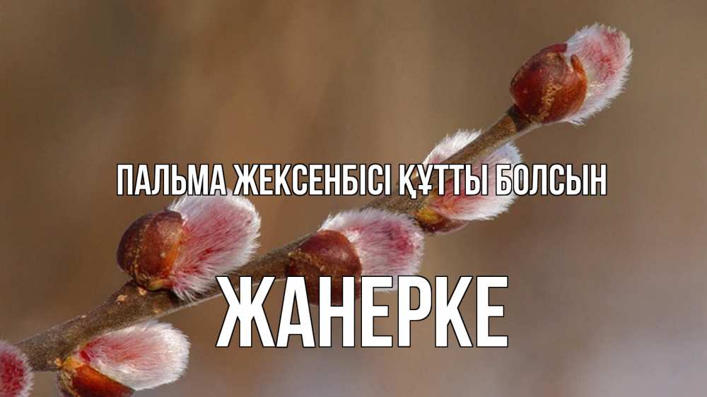 Күн сайын ашық хат с именем, ЖАНЕРКЕ Пальма жексенбісі құтты болсын верба Онлайн тегін жүктеп алу тілектері бар керемет карта 
