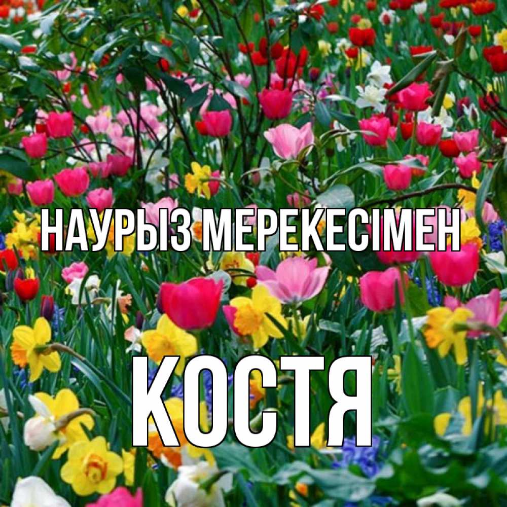 Күн сайын ашық хат с именем, Костя Наурыз мерекесімен с наурызом праздником весны поздравления для женщины Онлайн тегін жүктеп алу тілектері бар керемет карта 