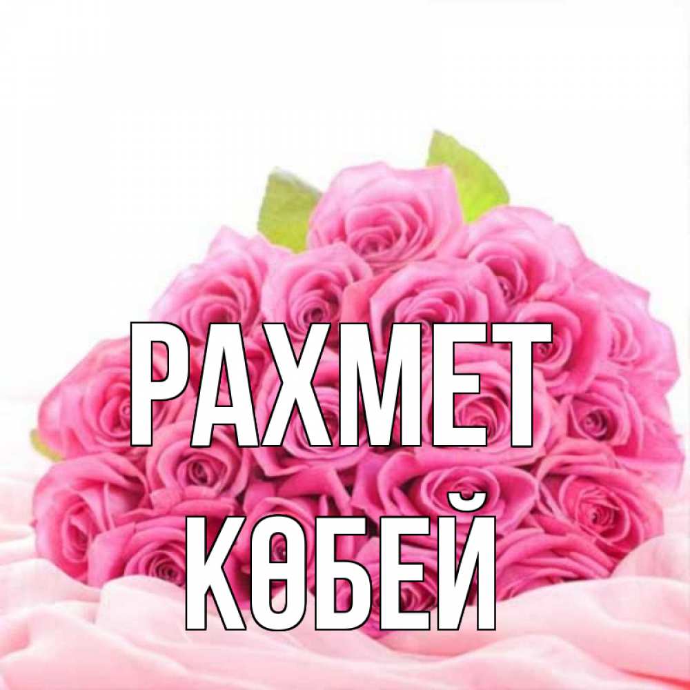 Күн сайын ашық хат с именем, Көбей рахмет розовые розы с подписью Онлайн тегін жүктеп алу тілектері бар керемет карта 