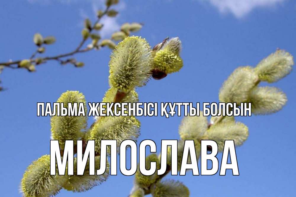 Күн сайын ашық хат с именем, Милослава Пальма жексенбісі құтты болсын верба Онлайн тегін жүктеп алу тілектері бар керемет карта 