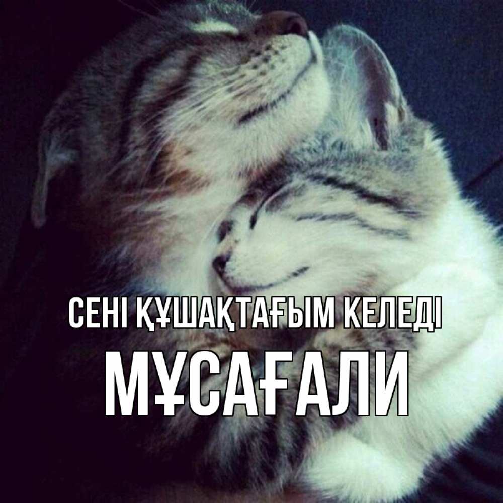 Күн сайын ашық хат с именем, Мұсағали сені құшақтағым келеді полосатики Онлайн тегін жүктеп алу тілектері бар керемет карта 