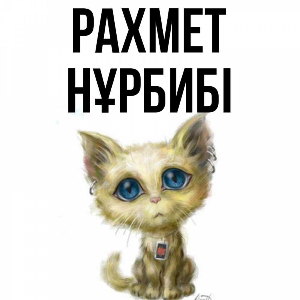 Күн сайын ашық хат с именем, НҰРБИБІ рахмет рисованный кот благодарит вас Онлайн тегін жүктеп алу тілектері бар керемет карта 