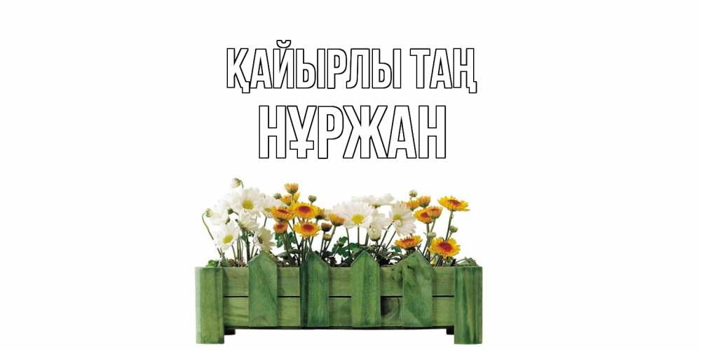 Күн сайын ашық хат с именем, НҰРЖАН Қайырлы таң цветы Онлайн тегін жүктеп алу тілектері бар керемет карта 