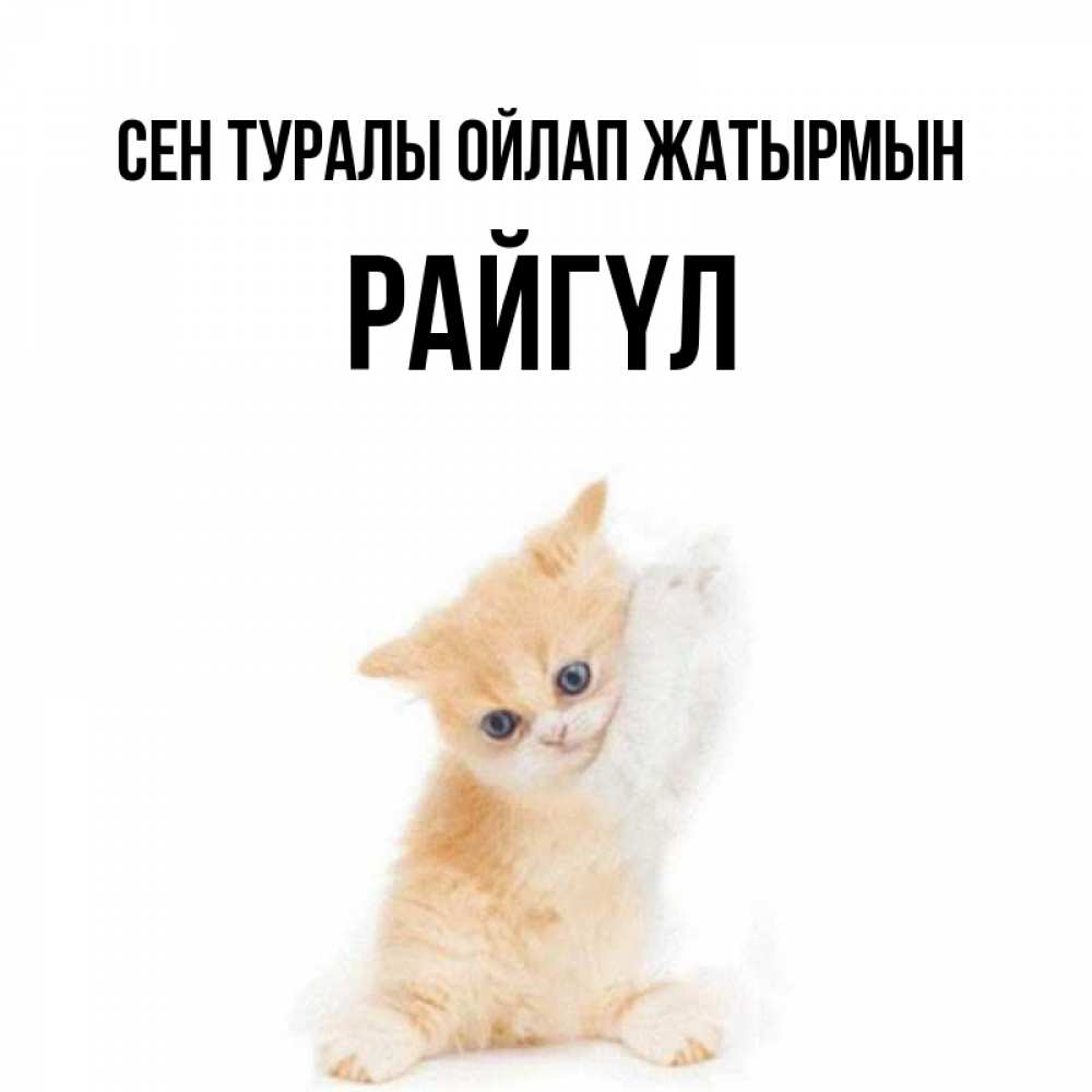 Күн сайын ашық хат с именем, РАЙГҮЛ Сен туралы ойлап жатырмын зверушки и милота Онлайн тегін жүктеп алу тілектері бар керемет карта 