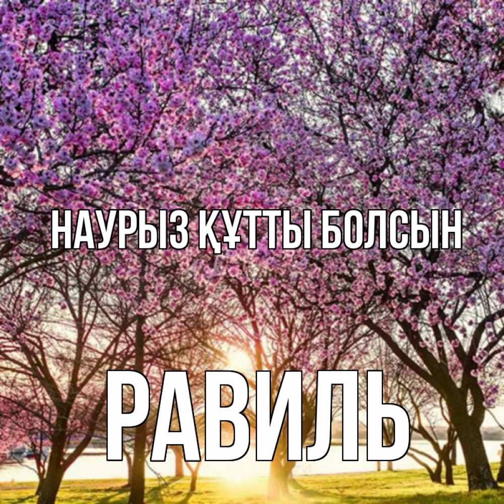 Күн сайын ашық хат с именем, Равиль Наурыз құтты болсын наурыз Онлайн тегін жүктеп алу тілектері бар керемет карта 