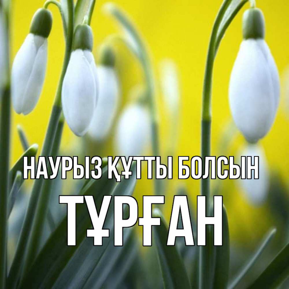 Күн сайын ашық хат с именем, ТҰРҒАН Наурыз құтты болсын весенние цветы Онлайн тегін жүктеп алу тілектері бар керемет карта 