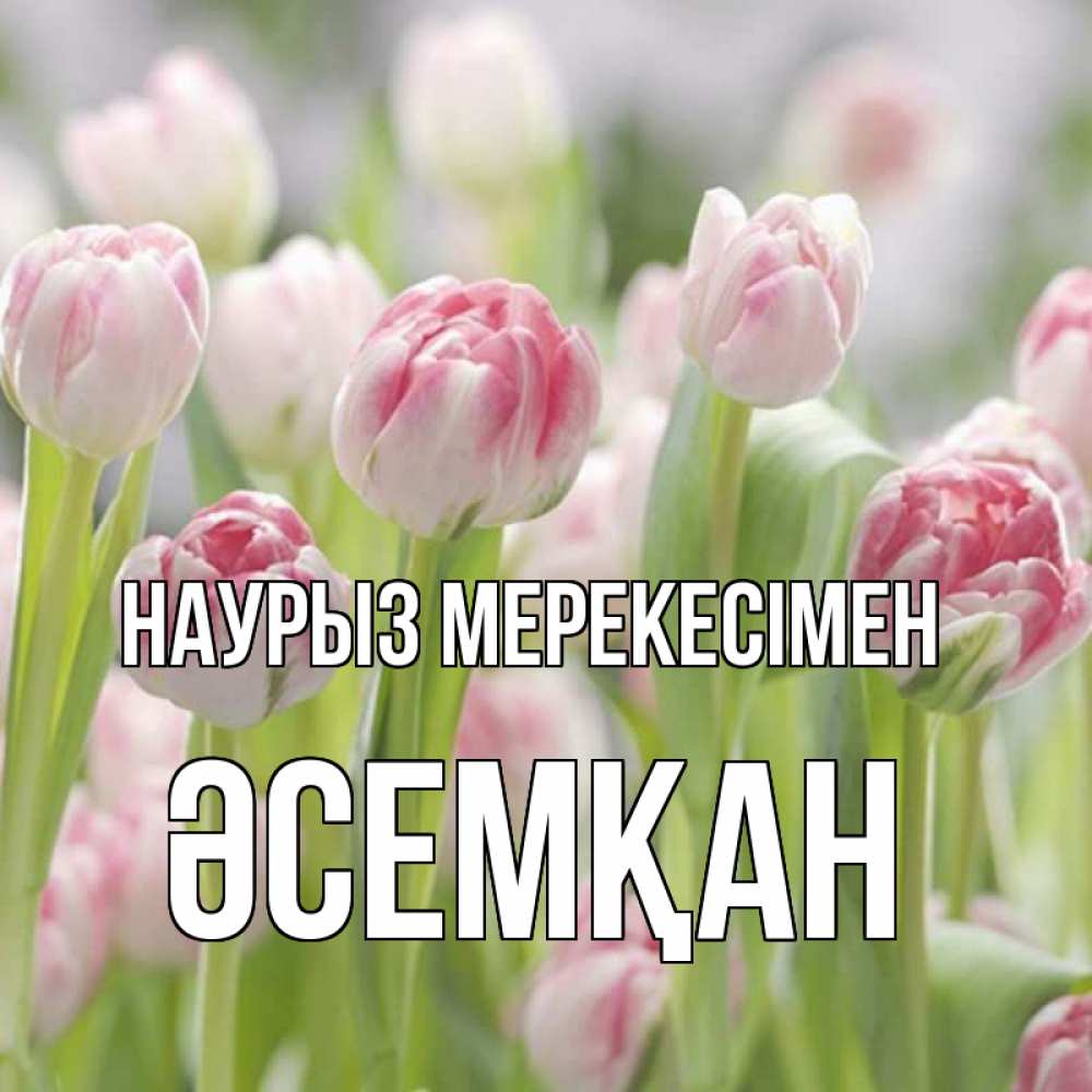 Күн сайын ашық хат с именем, ӘСЕМҚАН Наурыз мерекесімен цветы Онлайн тегін жүктеп алу тілектері бар керемет карта 