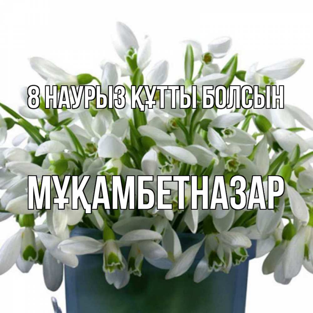 Күн сайын ашық хат с именем, Мұқамбетназар 8 наурыз құтты болсын цветы к международному женскому дню Онлайн тегін жүктеп алу тілектері бар керемет карта 