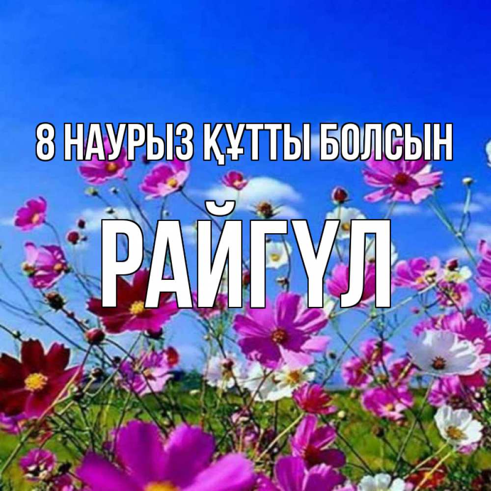 Күн сайын ашық хат с именем, РАЙГҮЛ 8 наурыз құтты болсын цветы Онлайн тегін жүктеп алу тілектері бар керемет карта 