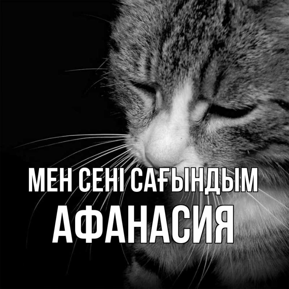 Күн сайын ашық хат с именем, Афанасия Мен сені сағындым мне скучно Онлайн тегін жүктеп алу тілектері бар керемет карта 