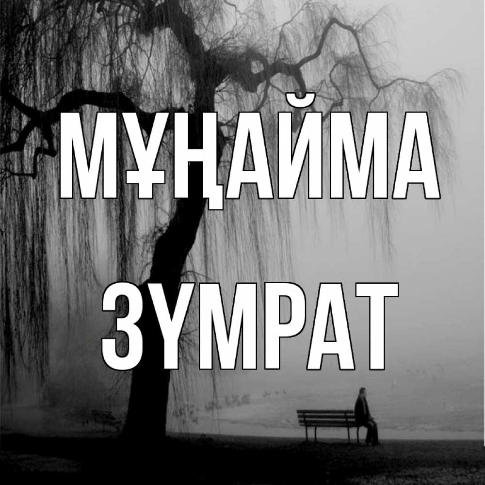 Күн сайын ашық хат с именем, ЗҮМРАТ Мұңайма висящие ветки дерева и лавочка под деревом Онлайн тегін жүктеп алу тілектері бар керемет карта 