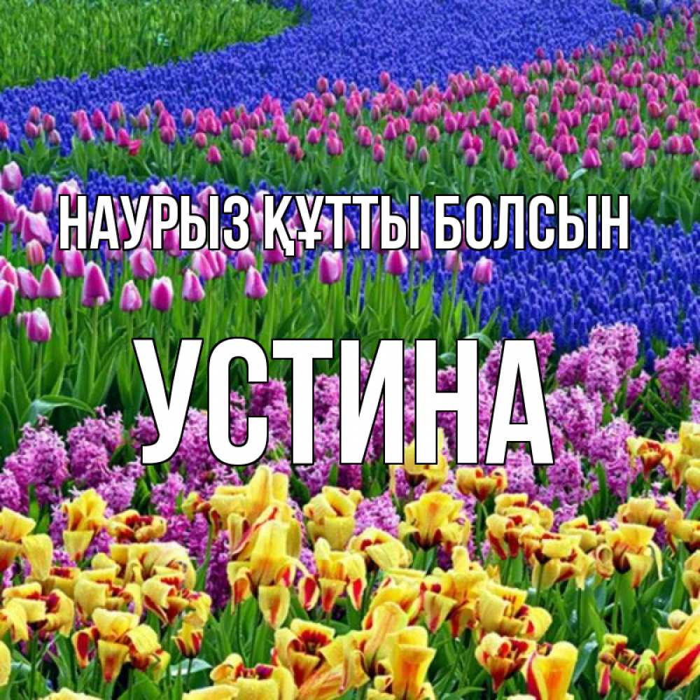 Күн сайын ашық хат с именем, Устина Наурыз құтты болсын цветы Онлайн тегін жүктеп алу тілектері бар керемет карта 