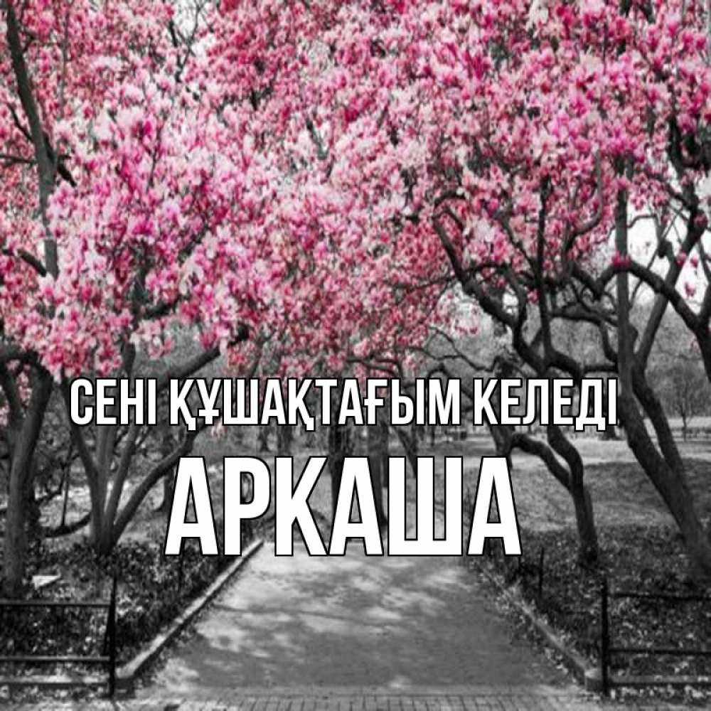 Күн сайын ашық хат с именем, Аркаша сені құшақтағым келеді обработанное фото Онлайн тегін жүктеп алу тілектері бар керемет карта 