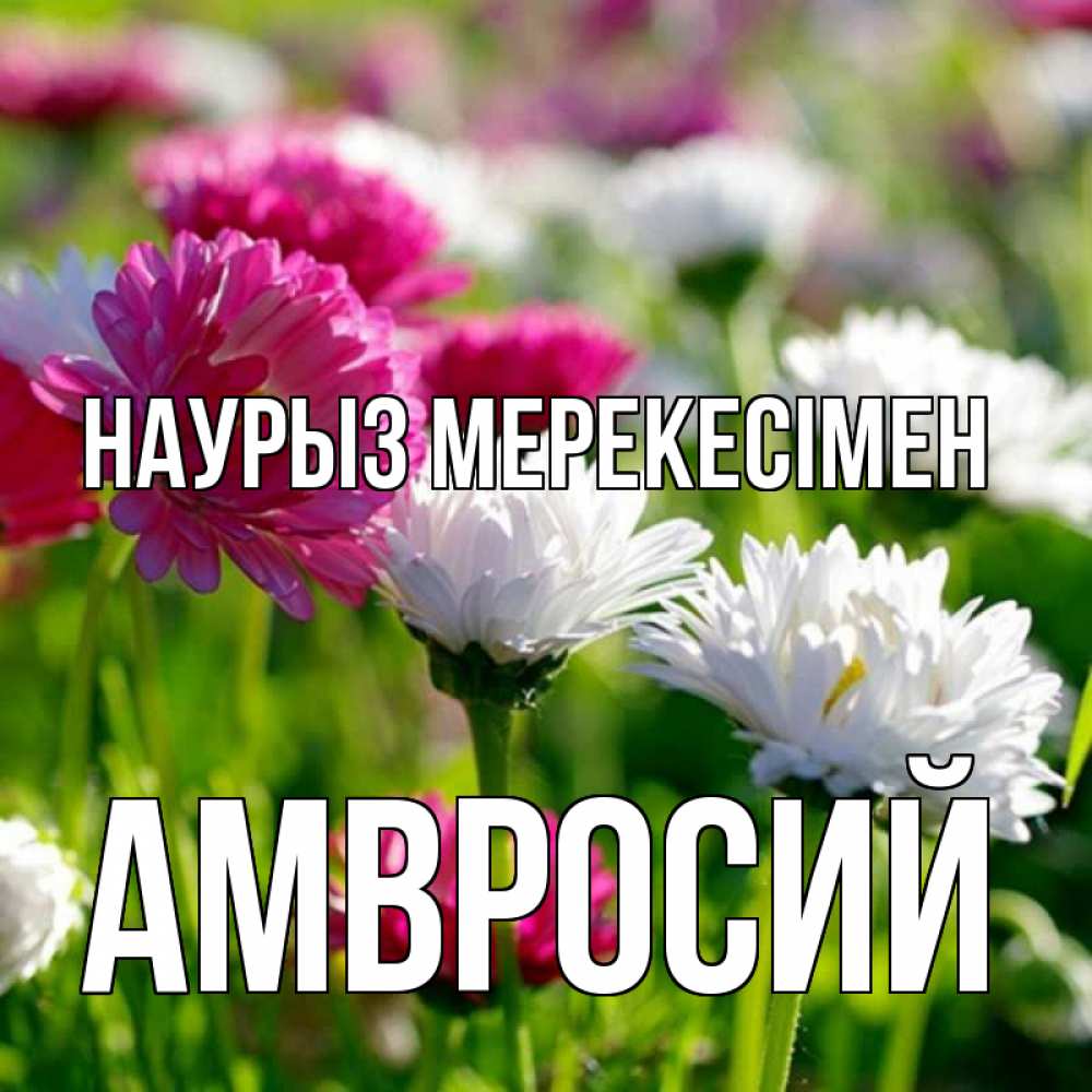 Күн сайын ашық хат с именем, Амвросий Наурыз мерекесімен праздник весны наурыз красота Онлайн тегін жүктеп алу тілектері бар керемет карта 