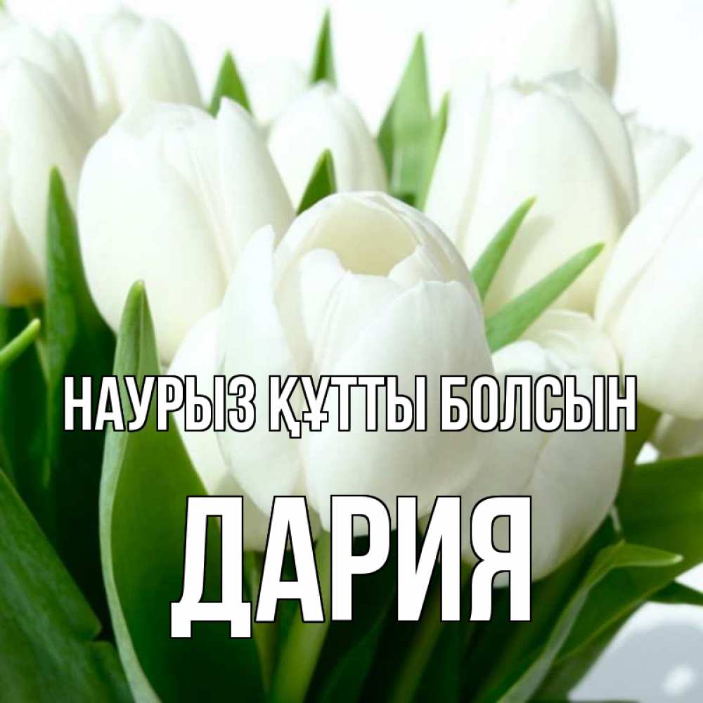 Күн сайын ашық хат с именем, ДАРИЯ Наурыз құтты болсын цветы Онлайн тегін жүктеп алу тілектері бар керемет карта 