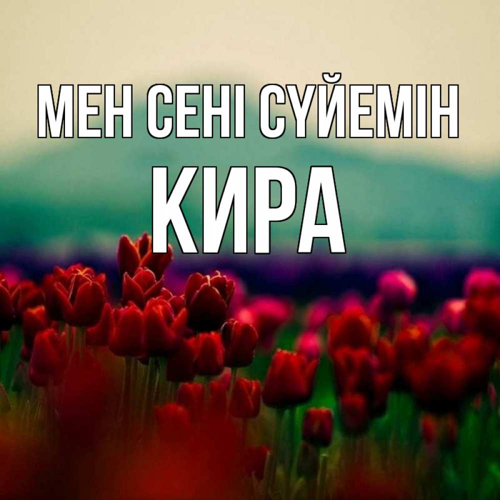 Күн сайын ашық хат с именем, Кира Мен сені сүйемін тюльпаны 4 Онлайн тегін жүктеп алу тілектері бар керемет карта 