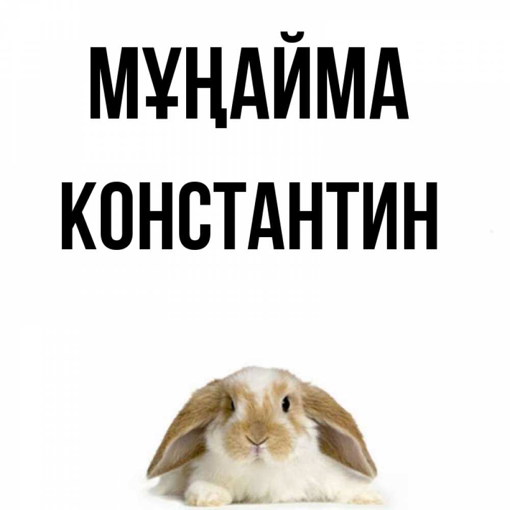 Күн сайын ашық хат с именем, Константин Мұңайма коричнево белый заяц с большими ушками Онлайн тегін жүктеп алу тілектері бар керемет карта 