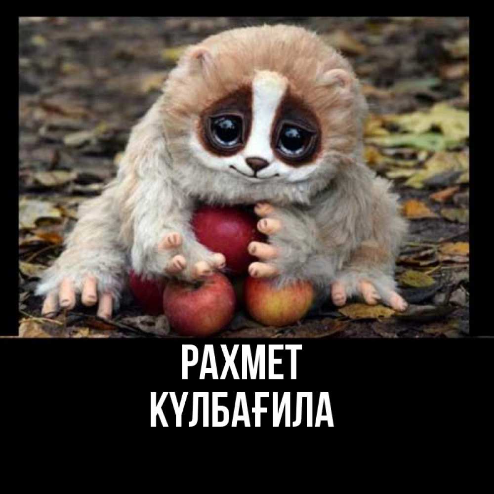 Күн сайын ашық хат с именем, КҮЛБАҒИЛА рахмет прикольное животное Онлайн тегін жүктеп алу тілектері бар керемет карта 